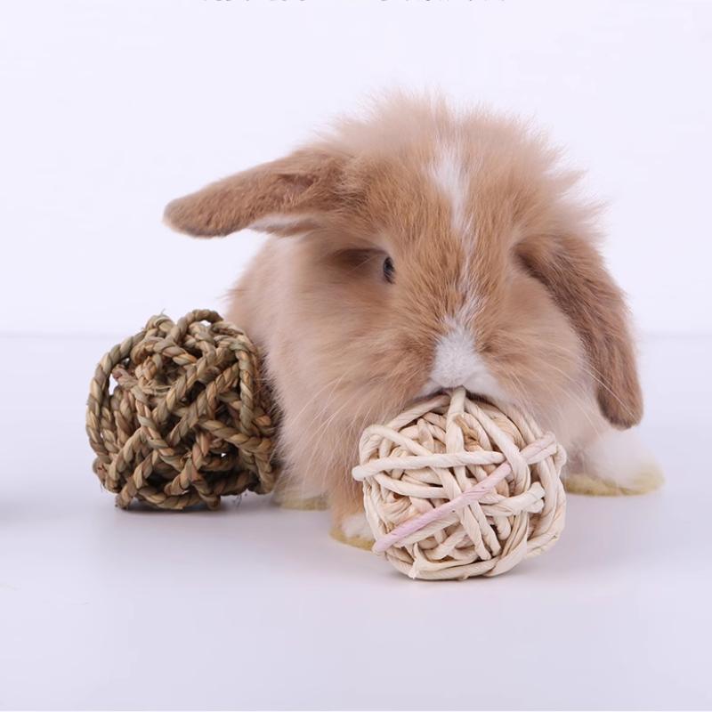 2pcs Small Animals Play Balls Rolling Activity Chew Toys Gnawing Treats for Rabbits Guinea Pigs Chinchilla Bunny Natural Balls