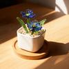 Round Flower Glazed Potted Plants Crystal Flower Green / Clear 8 Cm/3.15 In 1