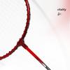 YZP Badminton Racket Set, Double Racket, Lightweight, Sturdy, Beginner, Carrying Bag Included, Adults, Children