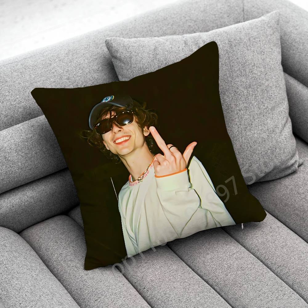 T-Timothée Chalamet Kissenbezug für 50cm 30cm 55cm 45cm 40cm quadratische Bettkissenbezug Hülle