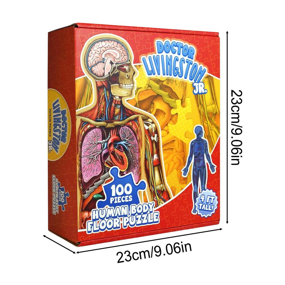 

Human Anatomy Puzzle 100 Pieces Educational Jigsaw Brain Teaser Puzzles for Boys Girls Students Homeschoolers Home Classroom червоний
