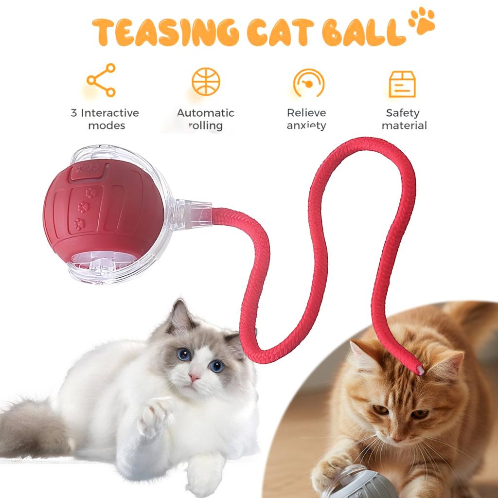 Interactive Cat Toy Ball Rechargeable Cat Enrichment Toys Fun Exercise Toys for Small/Medium/Large Cats To Keep Them Busy