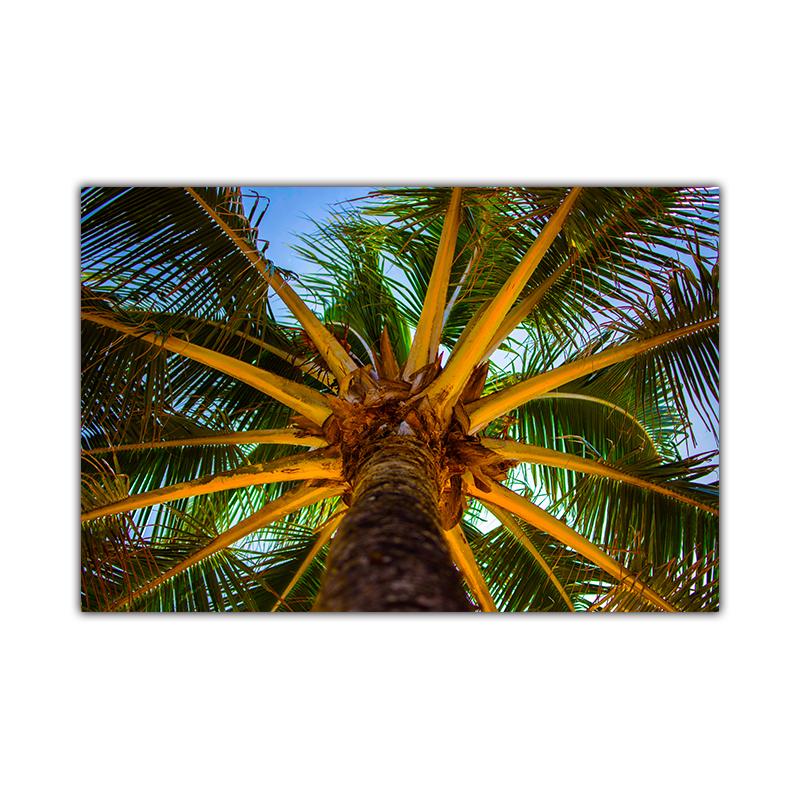

Пальма, банановое дерево, типичное тропическое растение, пляжный пейзаж, холст, картина, украшение для дома, плакаты и принты, настенные панно 21x30cm No Frame