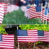 24 Pack Handheld Small Flags with Wooden Poles Gold Plastic Spear Tops 10x15cm Polyester Flags for Events Parades Parties Decorations