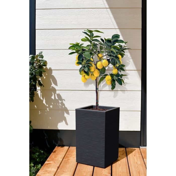 Square Tall Flower Pot 30 Cm - EDA - Graphite Up - 36 L - 29.5 X 29.5 Cm X H. 49.5 Cm - Anthracite Grey