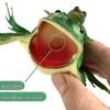 Children's Frog Squeeze Toy - Creative Sounding Animal Model, Prank Gift