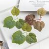 100PCS Silk Maple Leaf Artificial Plants Wedding Decorative Flowers Wreaths Home Garden Decoration Christmas Garland
