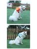 Pet Cartoon Self-Backpack: Small Dog/Cat Outdoor Travel Carrier