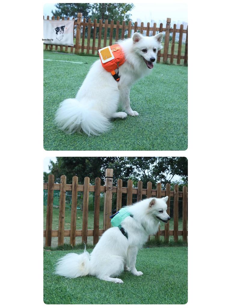 Pet Cartoon Self-Backpack: Small Dog/Cat Outdoor Travel Carrier