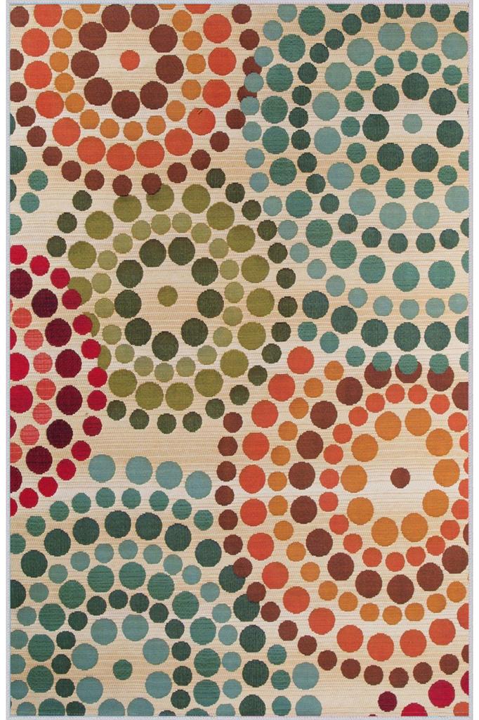 Rovigo Home Washable Printed Carpet RGHM1251