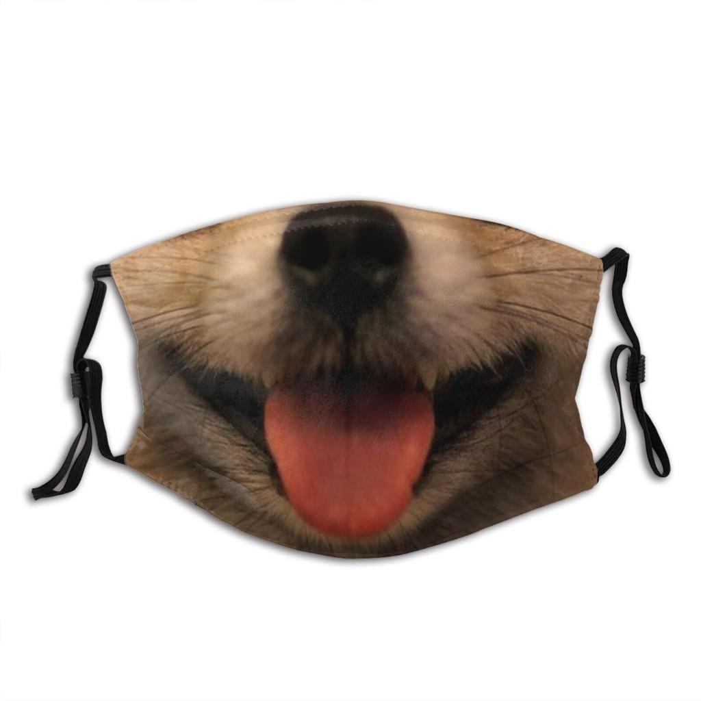 Animal Mask Funny Print Cotton Face Mask With Earloops For All Seasons