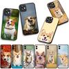 Handyhülle Hund Niedlich Corgi Hülle für Xiaomi Redmi Note 15 11 9 10 Pro Plus A5 9A 9T 10A 10C 9C NFC 15C 8T Hülle