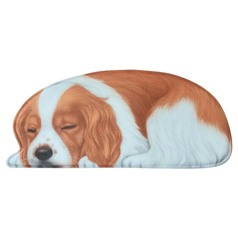 Floor Mats, Non-slip Mats, Entrance Door Bathroom Absorbent Toilet 3D Puppy Animal Bedroom Bedside Blanket Living Room