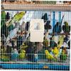 Space Saving Hanging Pigeons Feeders for Pigeons Parrots and Birds Cages Easyly To Clean Refillable Universals Use