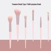 Cangzhou 6-Piece Portable Makeup Brush Set: Foundation, Eyeshadow, Loose Powder, Blush, Eyeliner, Detail.