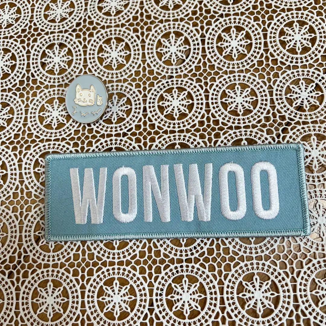 

[USED] SEVENTEEN Wonwoo Patch Badge Anonymous Shipping
