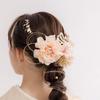 Lomeri Dahlia Hair Accessory Set D33 (Beige)