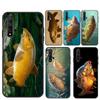 Carp Fishing For Huawei Nova 9 10 SE 5T 12s 12i 11i Y91 Y90 Y60 Y70 Y72 Y61 P20 P40 P30 Lite P60 Pro Case