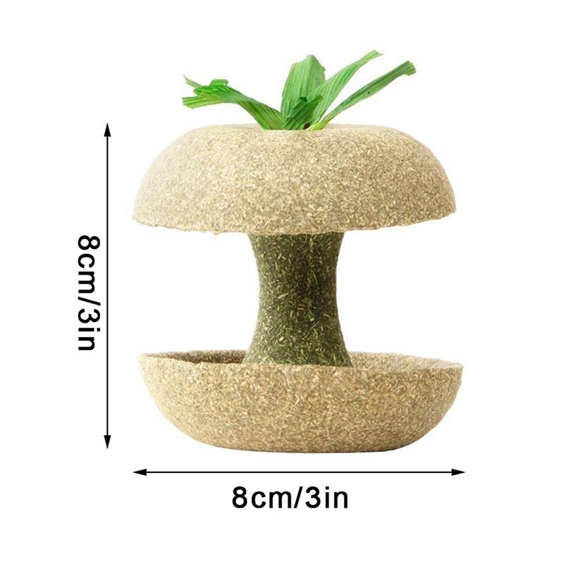 Hamster Chew Toys For Teeth - Guinea Pig Chew Toys For Teeth Food Chews Treats Hamster Cage Accessories