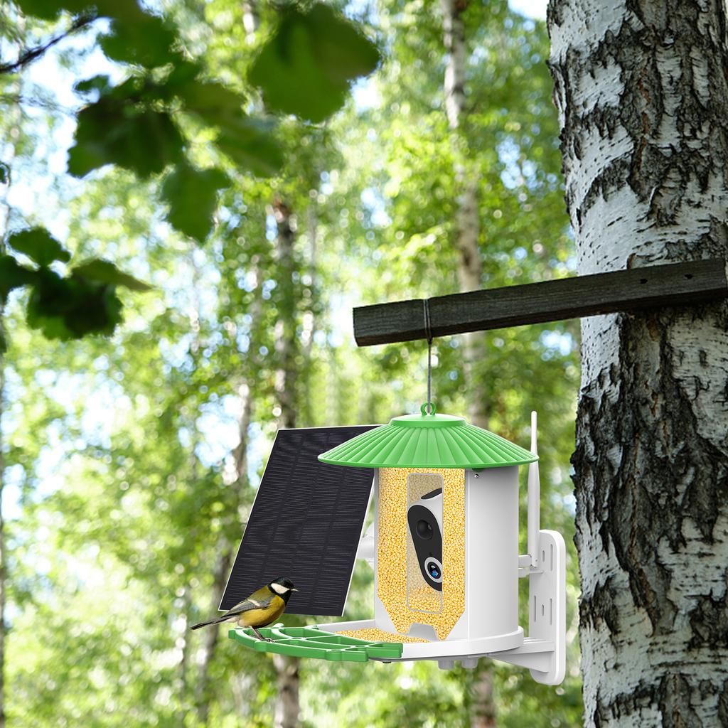 Smart Bird Feeder Camera 1080P HD Camera Color Night Vision Smart AI Identify Bird Species PIR