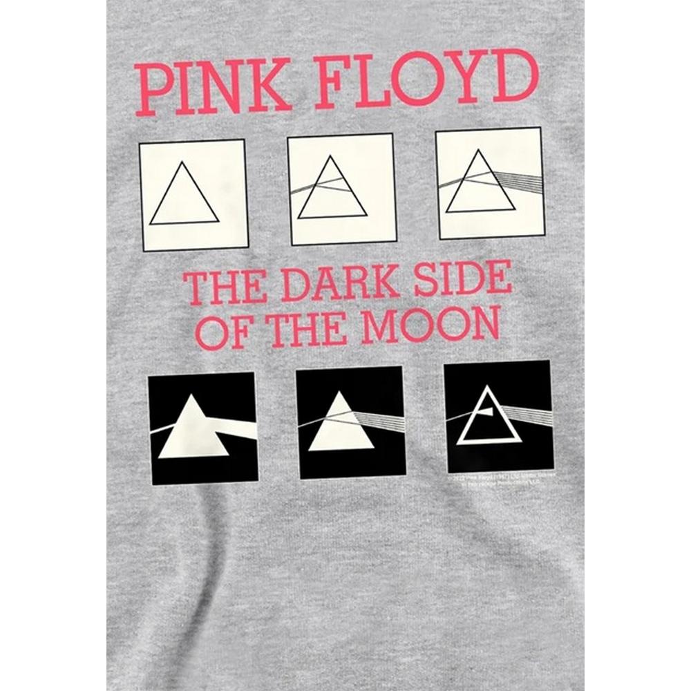 Pink Floyd Childrens/Kids The Dark Side Of The Moon Album Heather Hoodie