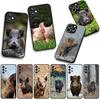 Phone Cover Pig Animal Wild Boar Casing for Apple iPhone 17 16 11 Pro XS Max XR 6 7 8 Plus + 16E SE 2020 Air 5 8+ Case