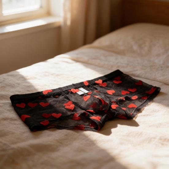 Yousheng Men Boxer Underwear Elastic Mid-rise Perspective Hollow Mesh Design Boxer Briefs Heart Pattern Underwear Anniversary Gift