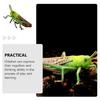 2Pcs Cartoon Locust Statue Vivid Animal Toys Creative Locust Animal Model  Garden