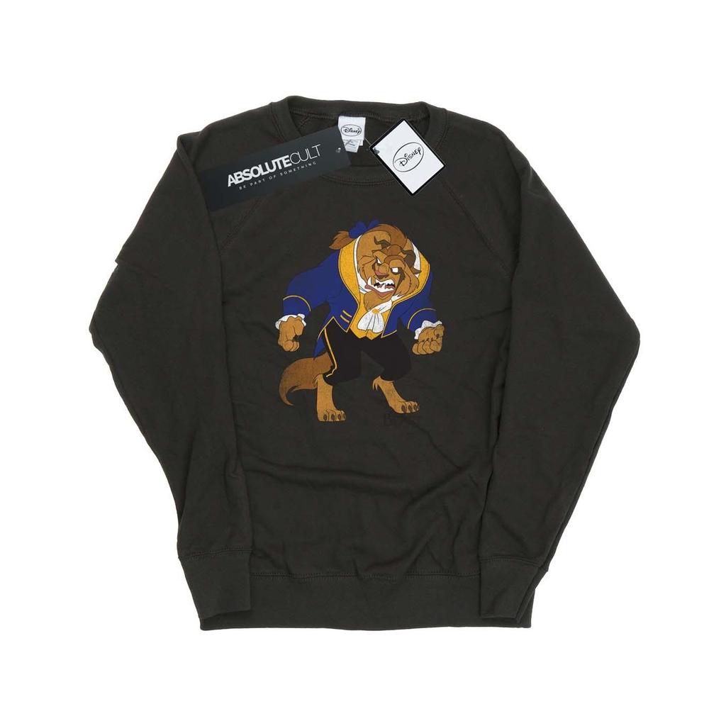 Beauty And The Beast Womens/Ladies Classic Heather Sweatshirt