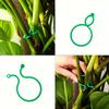 5-50PCS Plant Clips for Climbing Plants, Horticultural Clips for Tomato Plants, Vegetable Clips for Supporting and Fixing Plants