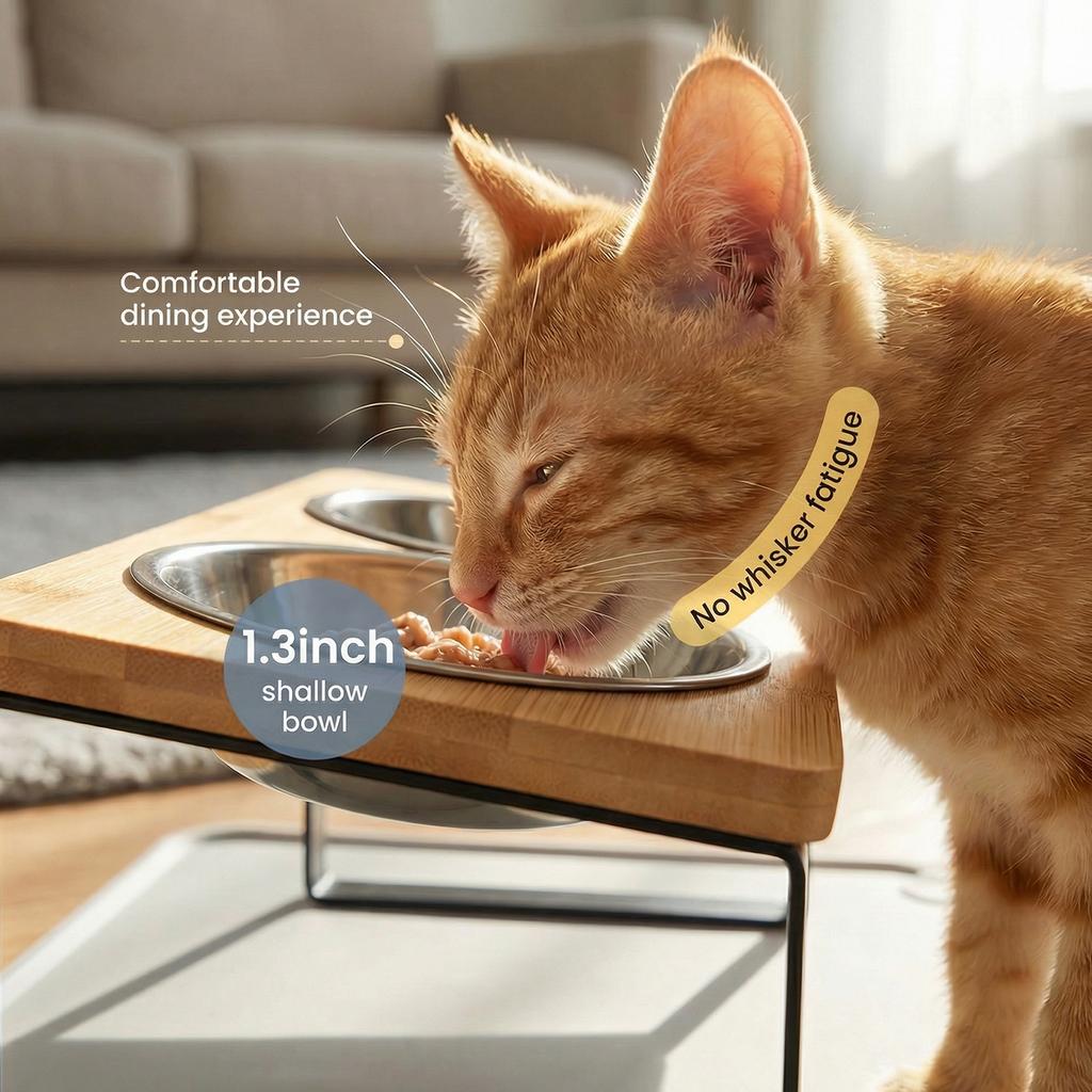 Elevated Pet Feeding Bowl 15° Tilted Cat Food and Water Bowl Stand with 3 Stainless Steel Bowls Dog Feeder Stand Pet Supplies