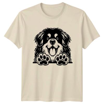 Hauts – T-shirts