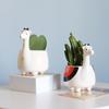 Ceramic Animal Potted Creative Cute Animal Succulent Plant Small Flower Pot Cute Desktop Art Ornaments Giraffe Panda Flower Vase