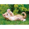 EPOCH 108dílné puzzle Bytosti/domácí mazlíčci Cat Cat (18,2 x 25,7 cm) 01-070 Dodává se s lepidlem, špachtlí a bodovacím lístkem EPOCH