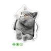 3D Cute Cat Toilet Sticker Bathroom Toilet Cover Sticker Wall Stickers Animal Wc Accessories Fun For Home Bath Room Decoration