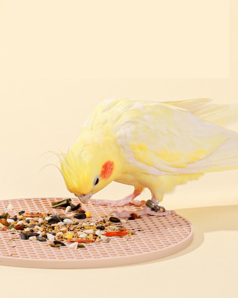 Bird Foraging Toys Puzzle Parrot Foraging Toys Soft Bird Foraging Mat Silicone Bird Slow Feeder Mats Parrot Cage Accessories