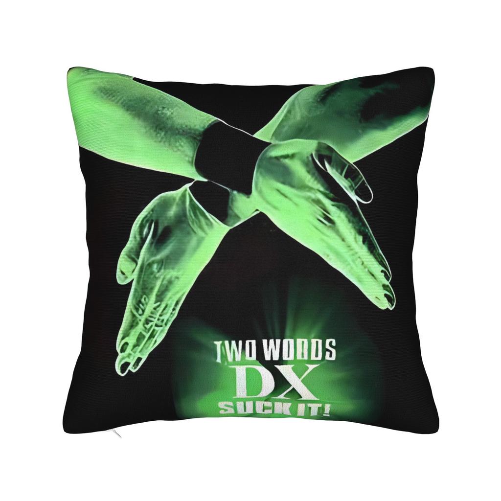 D-Generation X Wrestling Pillow Case Comfy Pillow Cover For Living Room Chair Novelty Pillowcases