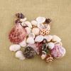 30Pcs/Bag Mix Aquarium Beach Nautical DIY Shells Mixed Bulk Approx 100g Sea Shell Starfish Decoration Home Decor