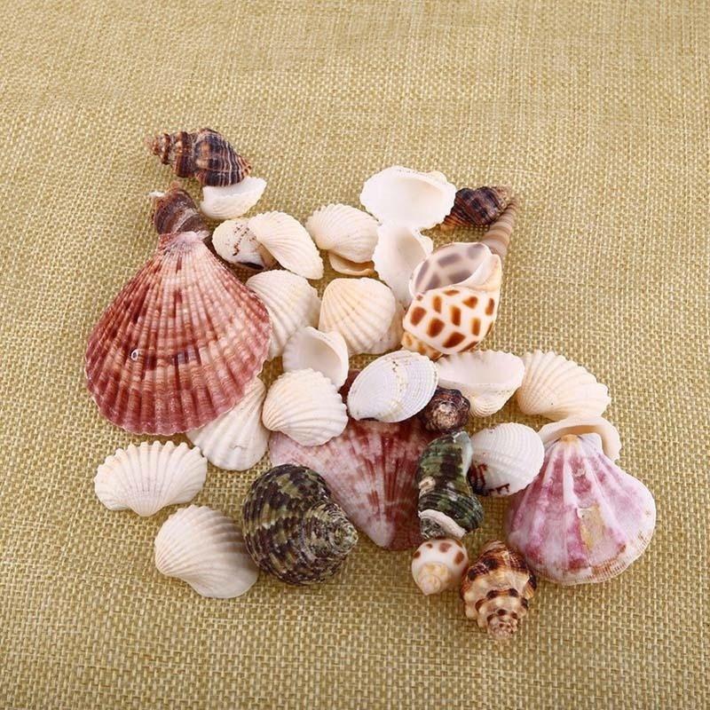 30Pcs/Bag Mix Aquarium Beach Nautical DIY Shells Mixed Bulk Approx 100g Sea Shell Starfish Decoration Home Decor