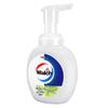 Walch Foaming Antibacterial Hand Soap - Lime