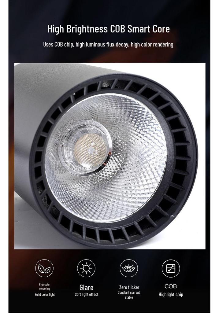 Adjustable Wall-Mounted LED Spotlight with Telescopic Arm for Exhibitions and Paintings
