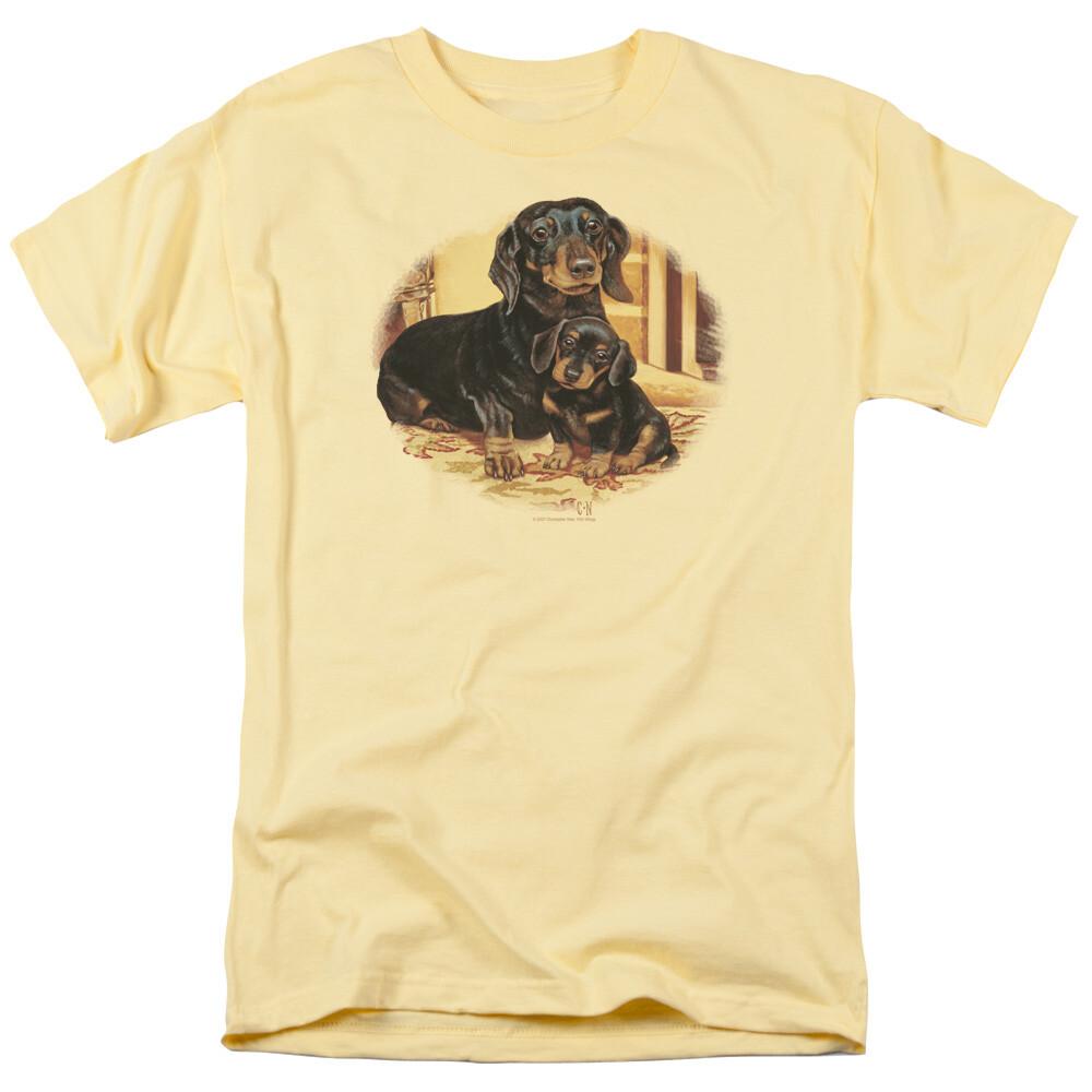 Wild Wings Picture Perfect Dachshunds T-Shirt XXXL