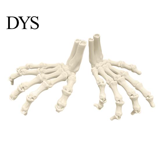 Eco Friendly Halloween Party Supplies Skeleton Hands, 3D Printed Hand Bones Model, Realistic Decorative Hands for Events Spooky Bone Claw Prop