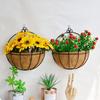 Cocoanut Hanging Basket Cocoanut Hanging Pot Cocoanut Hanging Pot Cocoanut Hanging Basket Half-round Flower Stand Hanging Basket