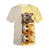 Cute Cartoon Cat Graphic T-shirt Women Funny Casual 3D Print Cats Harajuku Street T Shirts Summer Casual Fashion Men Tees Top