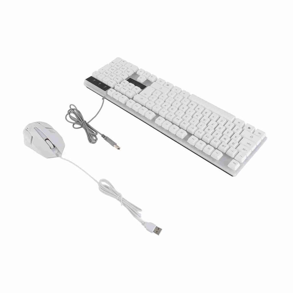 Keyboard and Mouse Combo 104 Keys RGB Backlit USB Wired Connection Keyboard Mouse Set for Home