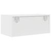 TV Cabinet White 60x31x25.5 cm Engineered Wood