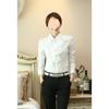 Ruffled Lace Long-sleeved Women's Slim Professional Wear Blouse Ruffled Shirt