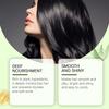 Woodsleep Plant-based Hair Care Oil Nourishing Smoothing Hydrating Repairing For Dry Hair