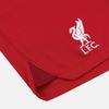 Nike Solid Color Logo Sports Soccer Shorts SW Fan Edition 2022/23 Season Liverpool Home Men Bottoms Deep-Red DJ7745-608